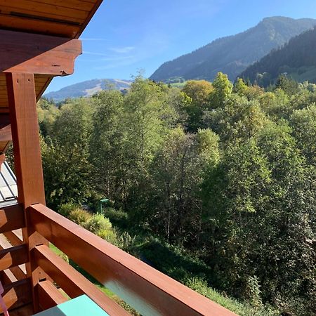 Appartement Vue Piste De Ski Praz-sur-Arly Dış mekan fotoğraf