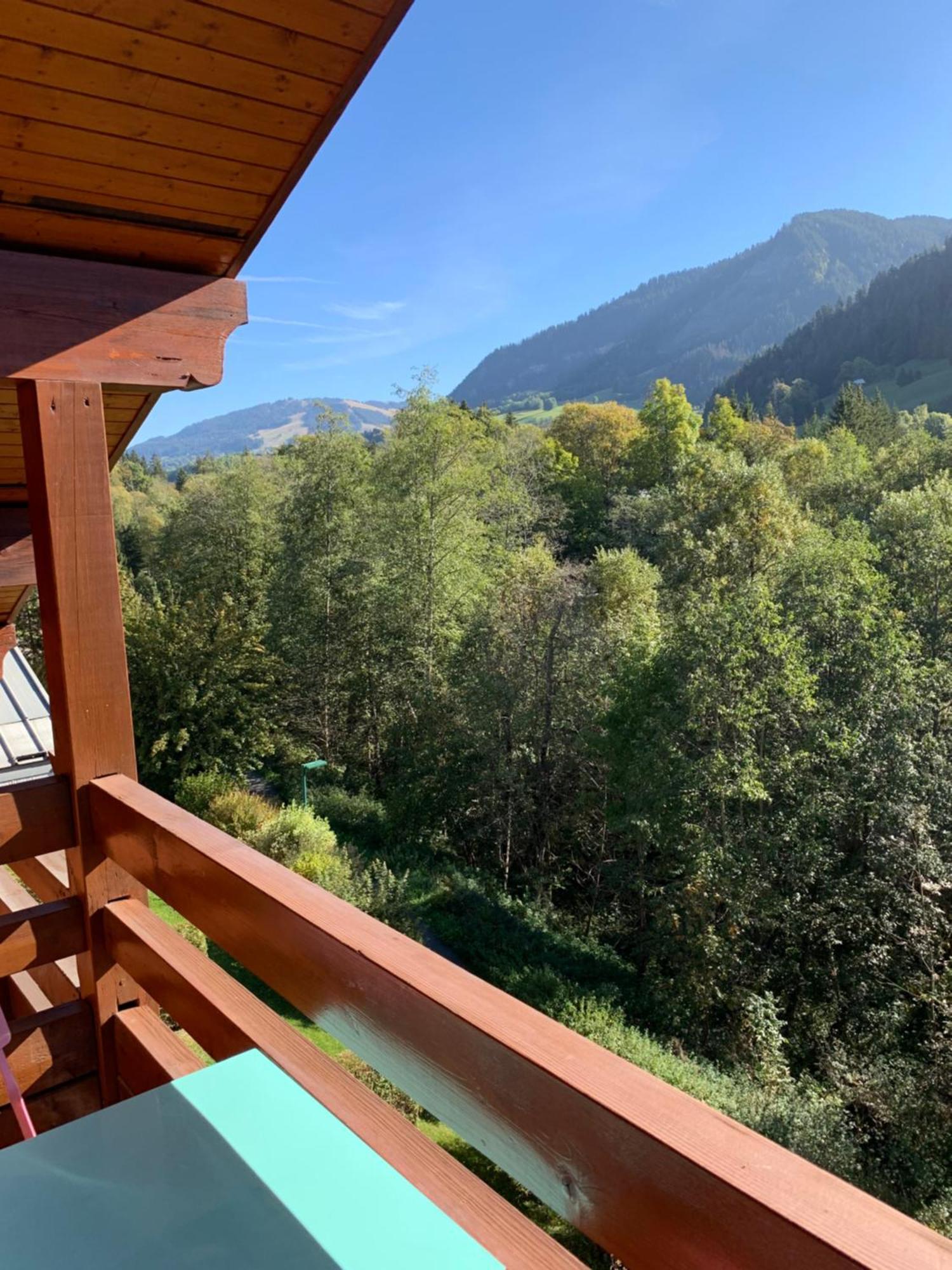 Appartement Vue Piste De Ski Praz-sur-Arly Dış mekan fotoğraf