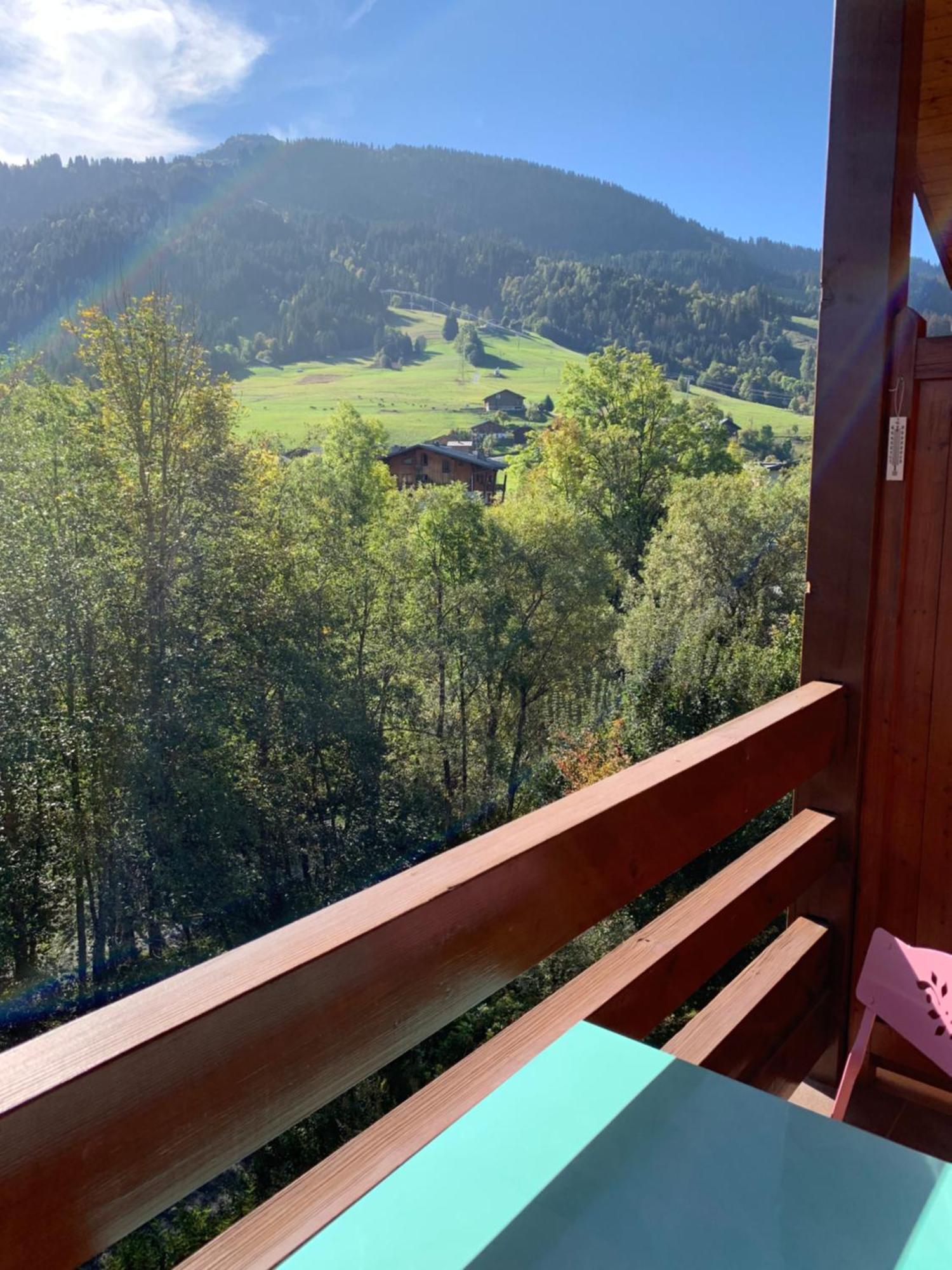 Appartement Vue Piste De Ski Praz-sur-Arly Dış mekan fotoğraf